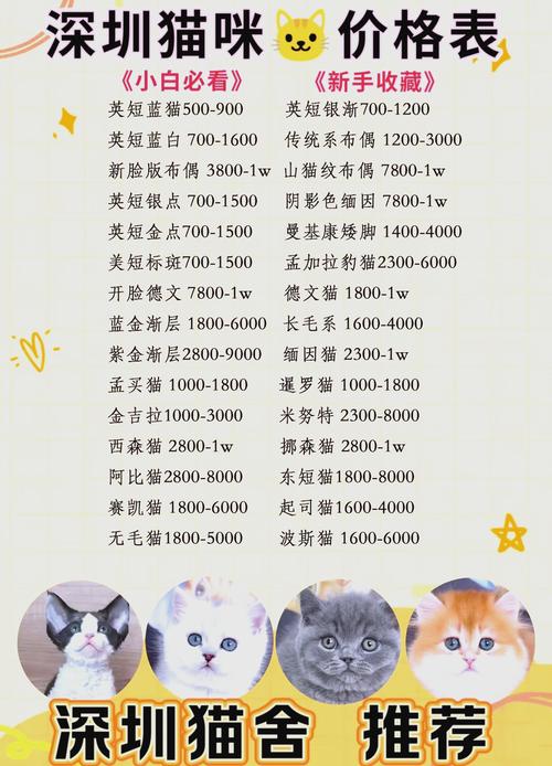 3元白猫香烟价格【白猫香烟价格表】